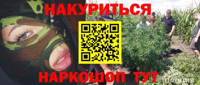 гидропоника Бийск